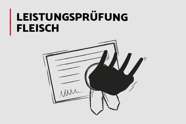 Leistungsprüfung - Fleisch