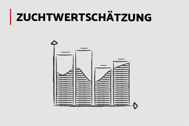 Zuchtwertschätzung