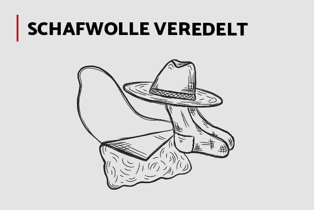 Schafwolle veredelt