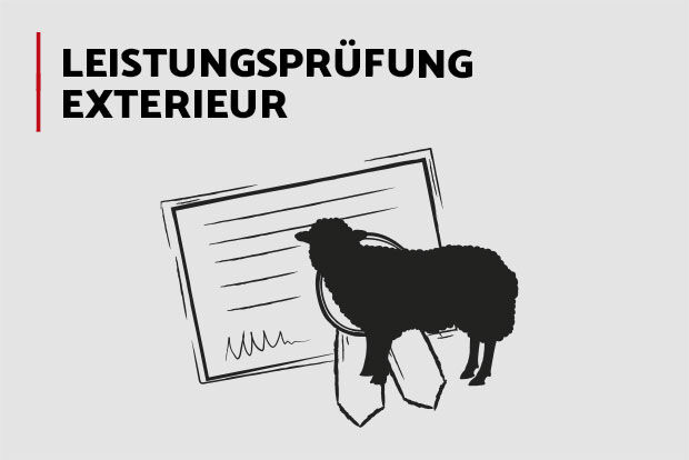 Leistungsprüfung - Exterieur