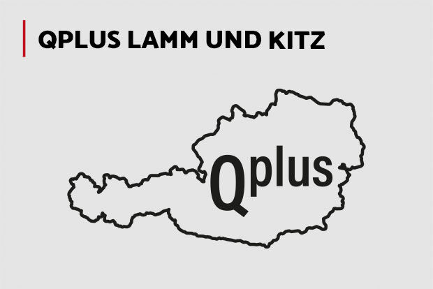 QPlus Lamm und Kitz