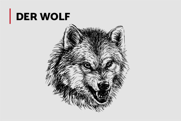 Der Wolf